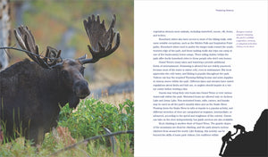 Amerika bewahren: Grand-Teton-Nationalpark