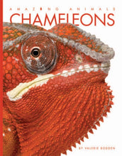 Laden Sie das Bild in den Galerie-Viewer, Amazing Animals (2014): Chamäleons
