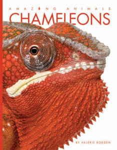 Amazing Animals (2014): Chameleons