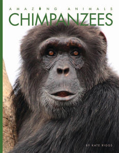 Amazing Animals (2014): Schimpansen