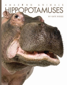 Amazing Animals (2014): Hippopotamuses