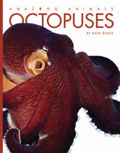 Laden Sie das Bild in den Galerie-Viewer, Amazing Animals - Classic Edition: Kraken
