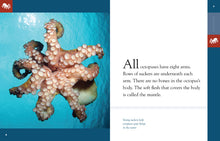 Laden Sie das Bild in den Galerie-Viewer, Amazing Animals - Classic Edition: Kraken
