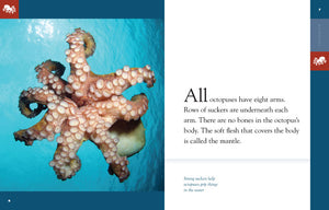 Amazing Animals - Classic Edition: Octopuses