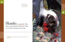 Laden Sie das Bild in den Galerie-Viewer, Amazing Animals (2014): Stinktiere
