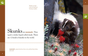 Amazing Animals (2014): Skunks