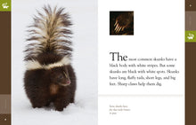 Laden Sie das Bild in den Galerie-Viewer, Amazing Animals (2014): Stinktiere
