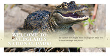 Laden Sie das Bild in den Galerie-Viewer, Nationalpark-Entdecker: Everglades
