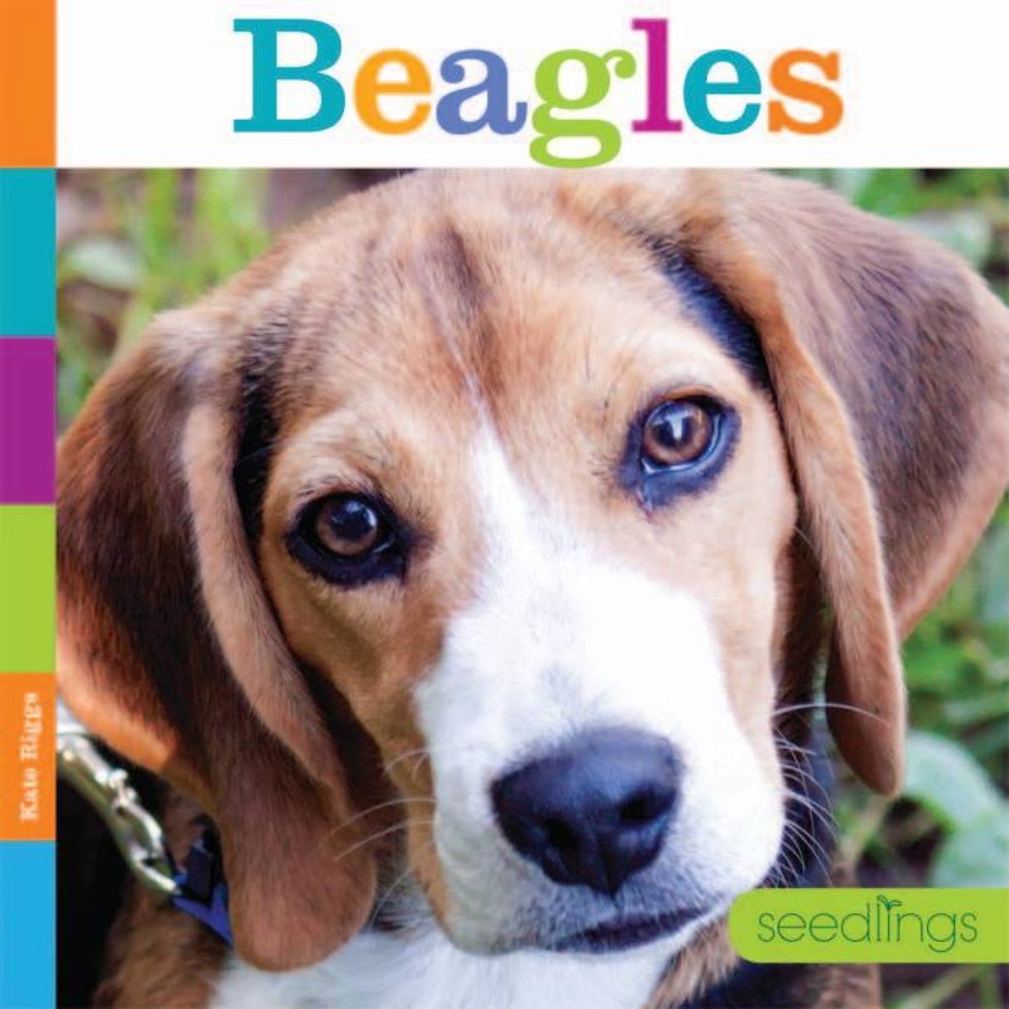 Seedlings: Beagles