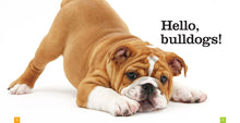 Laden Sie das Bild in den Galerie-Viewer, Sämlinge: Bulldoggen
