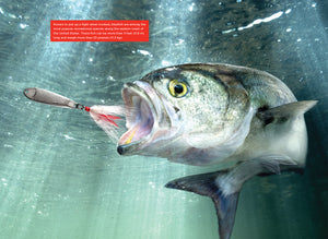 Odysseys in Outdoor Adventures: Deep-Sea Fishing