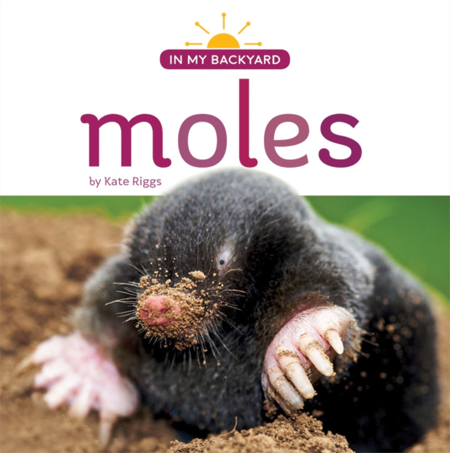 In My Backyard: Moles