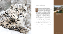 Laden Sie das Bild in den Galerie-Viewer, Living Wild – Classic Edition: Schneeleoparden
