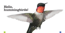 Laden Sie das Bild in den Galerie-Viewer, Sämlinge: Kolibris

