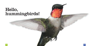 Seedlings: Hummingbirds