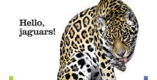 Laden Sie das Bild in den Galerie-Viewer, Sämlinge: Jaguare
