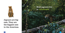 Laden Sie das Bild in den Galerie-Viewer, Sämlinge: Jaguare
