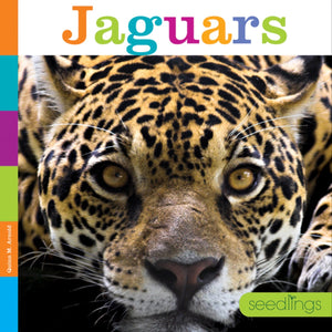 Seedlings: Jaguars