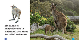 Seedlings: Kangaroos