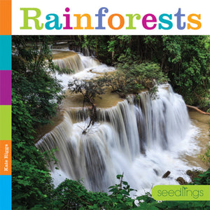 Sämlinge: Regenwälder