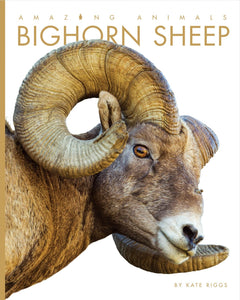 Amazing Animals (2014): Bighorn Sheep
