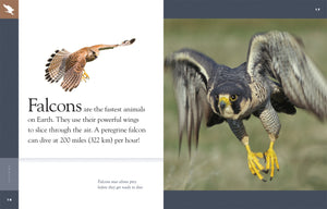 Amazing Animals (2014): Falcons