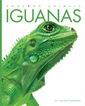 Laden Sie das Bild in den Galerie-Viewer, Amazing Animals (2014): Leguane
