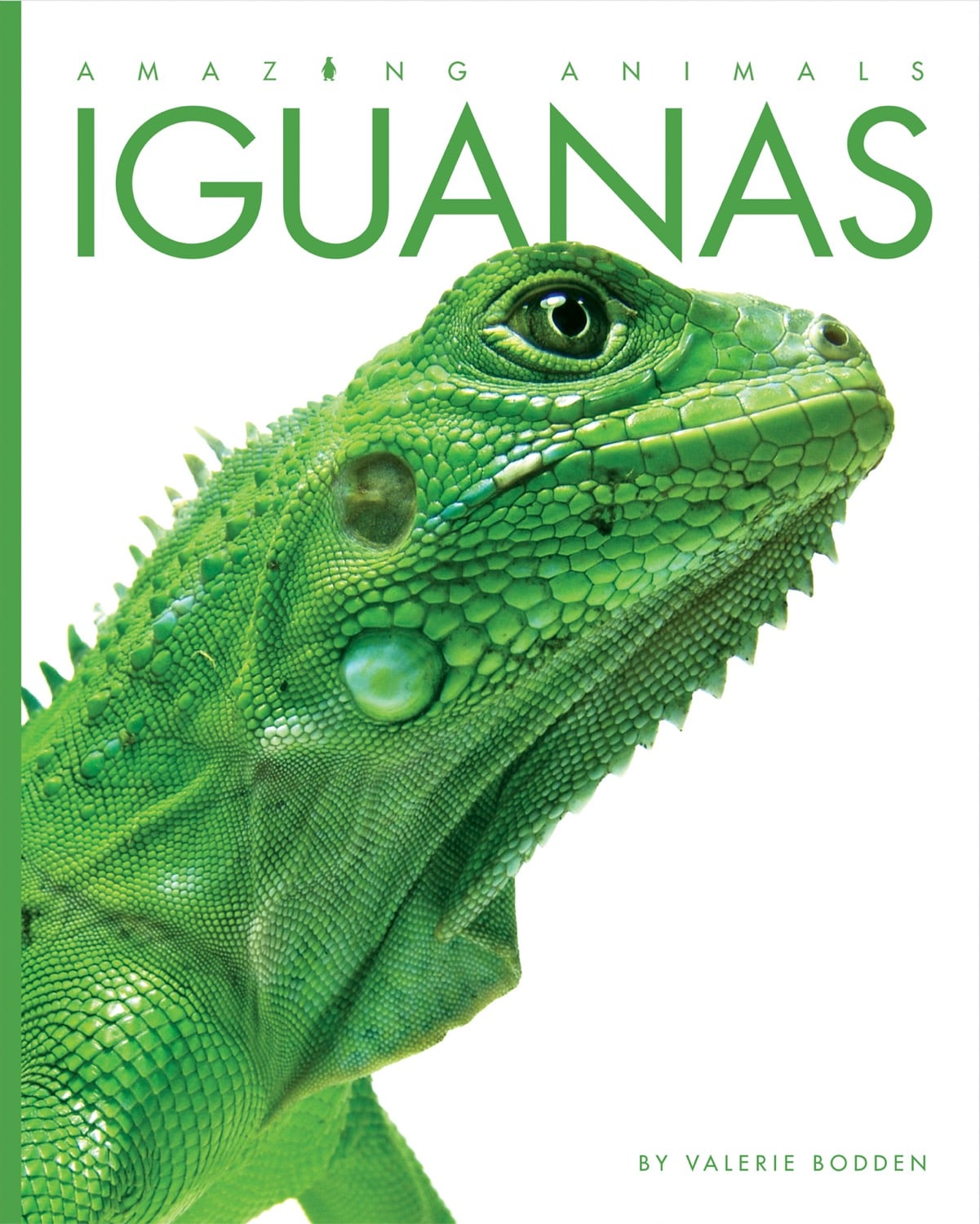 Amazing Animals (2014): Leguane
