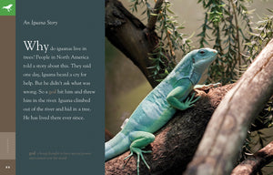 Amazing Animals (2014): Iguanas