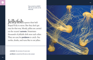 Amazing Animals (2014): Jellyfish