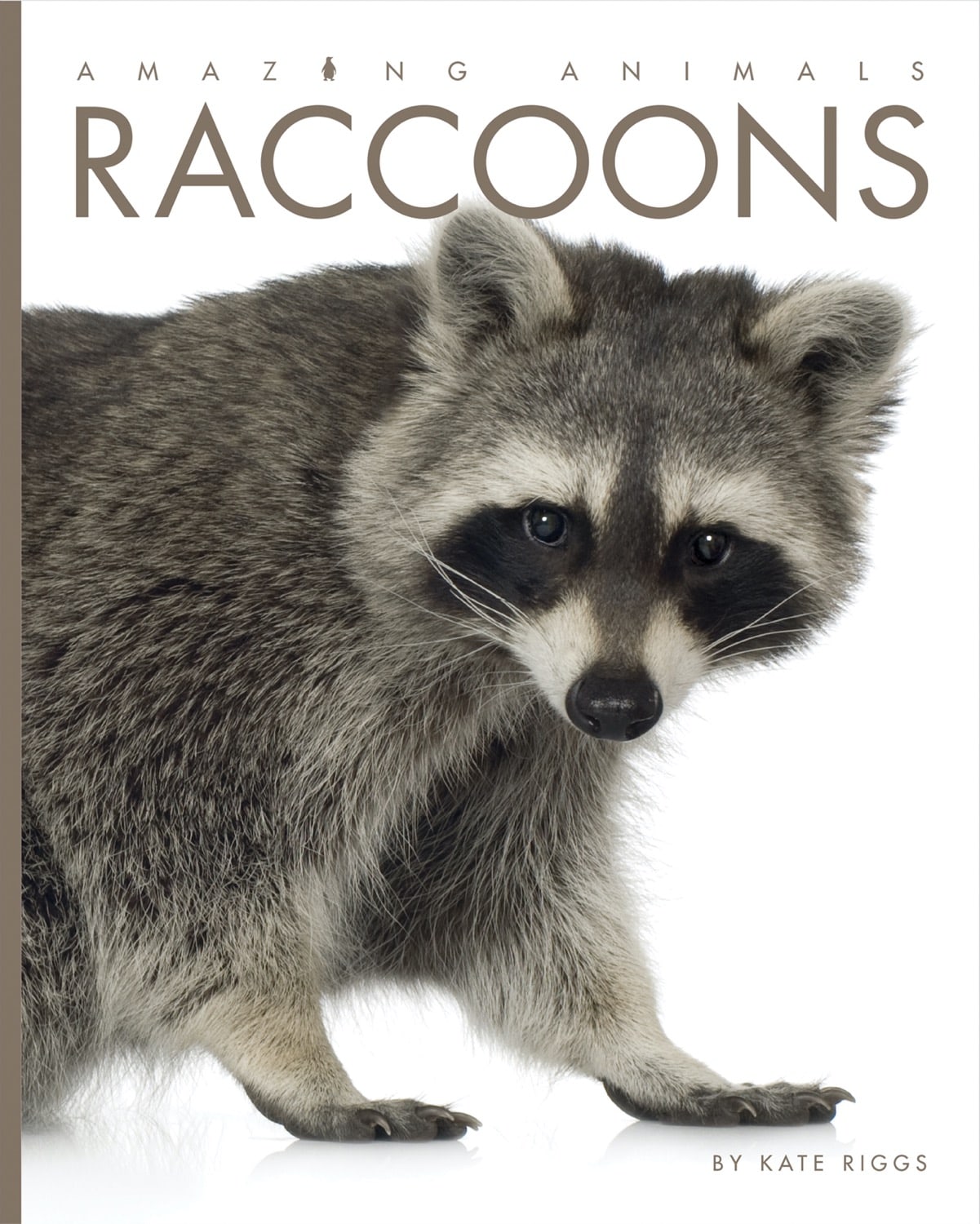 Amazing Animals (2014): Raccoons