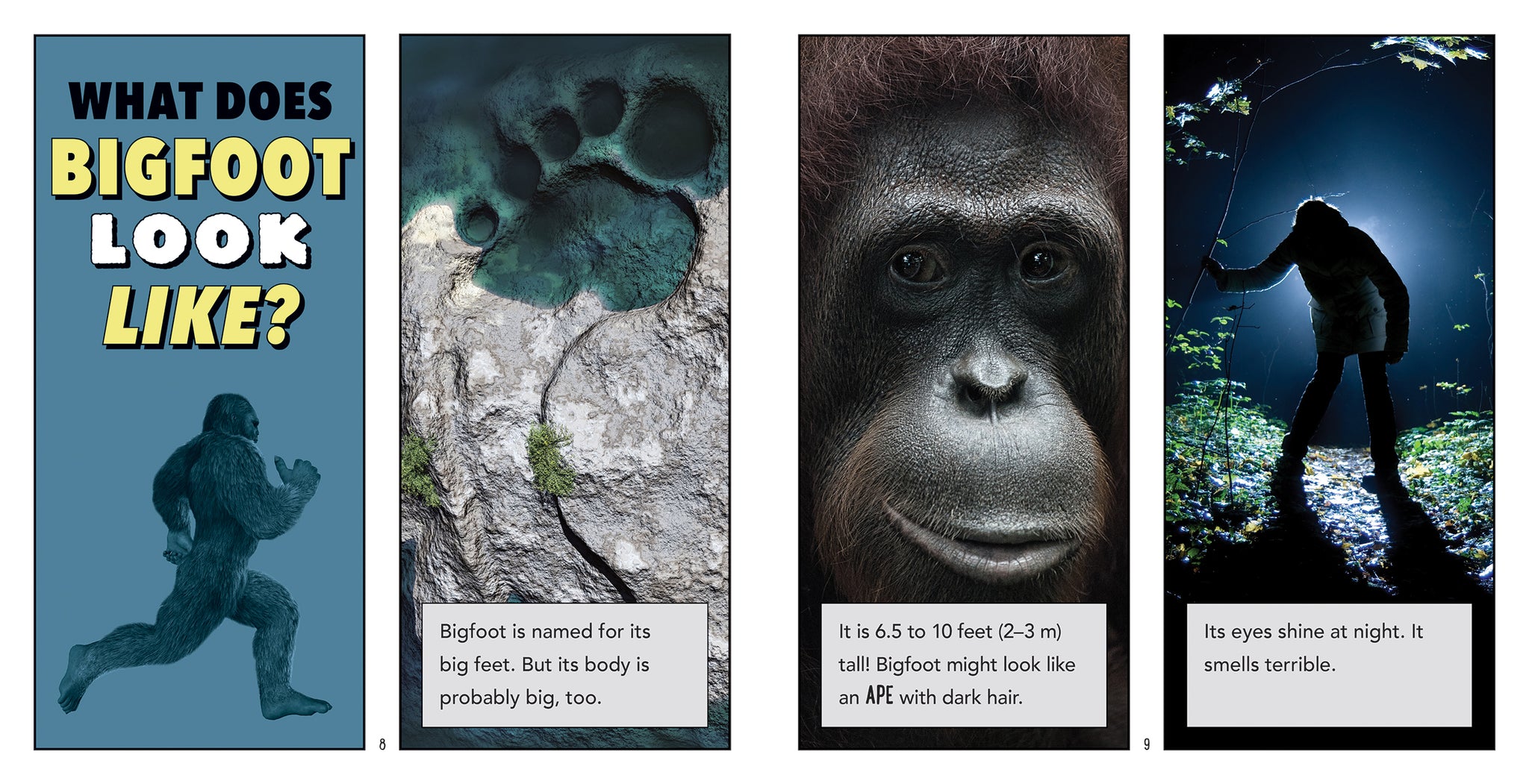 洋書 BIGFOOT: AMERICA'S #1 MONSTER by Cohen Bigfoot: America's Number One Monster – Retrograde Media