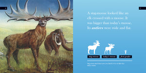 Ice Age Mega Beasts: Stag-moose