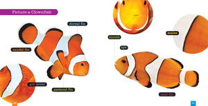 Seedlings: Clownfish