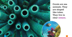 Sämlinge: Korallenriffe