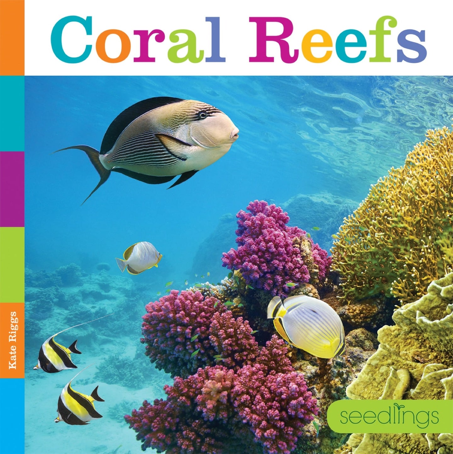 Sämlinge: Korallenriffe