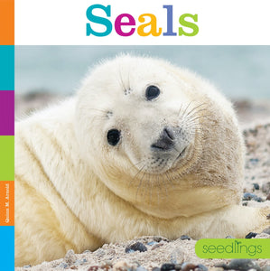 Seedlings: Seals