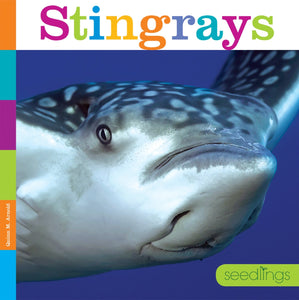 Seedlings: Stingrays