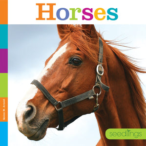 Seedlings: Horses