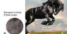 Laden Sie das Bild in den Galerie-Viewer, Sämlinge: Pferde
