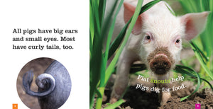 Sämlinge: Schweine