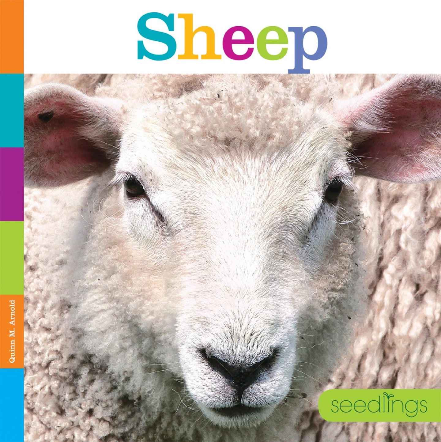 Seedlings: Sheep
