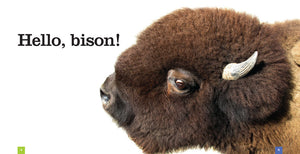 Oh hey this Bison is heading into some extreme hibernation starting Sunday  at 5pm MST so you should probs snap up yer art and craft goodies quick