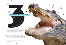 Laden Sie das Bild in den Galerie-Viewer, X-Books: Predators: Alligators
