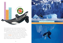 Laden Sie das Bild in den Galerie-Viewer, X-Books: Predators: Killerwale
