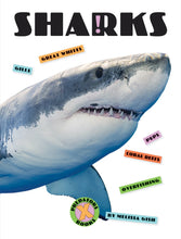 Laden Sie das Bild in den Galerie-Viewer, X-Books: Predators: Sharks
