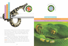 Laden Sie das Bild in den Galerie-Viewer, X-Books: Predators: Snakes
