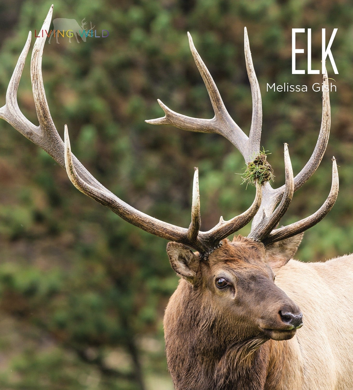Living Wild - Classic Edition: Elk