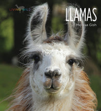 Laden Sie das Bild in den Galerie-Viewer, Living Wild - Classic Edition: Lamas
