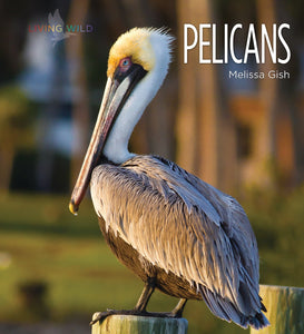 Living Wild - Classic Edition: Pelicans